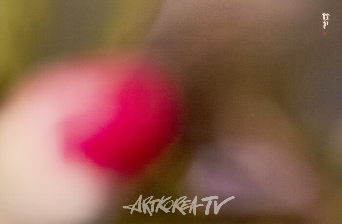 강의구 사진전 제4회 개인전 ‘당신만을 사랑합니다’-사진촬영 김한정 기자