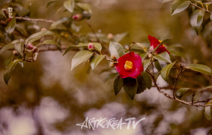 강의구 사진전 제4회 개인전 ‘당신만을 사랑합니다’-사진촬영 김한정 기자