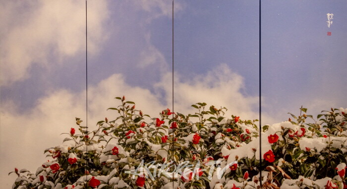 강의구 사진전 제4회 개인전 ‘당신만을 사랑합니다’-사진촬영 김한정 기자