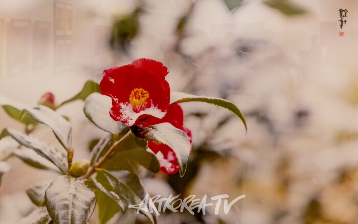 강의구 사진전 제4회 개인전 ‘당신만을 사랑합니다’-사진촬영 김한정 기자