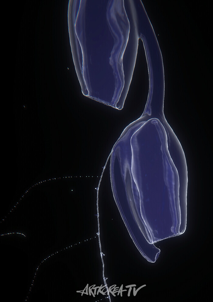 국제갤러리, 6월 4일 SUPERFLEX 개인전 'Fish & Chips'