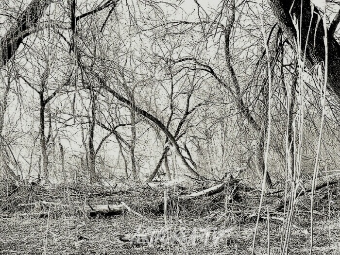 원연수 사진작가, 흑백사진전 '필름 카메라 매력에 빠지다'