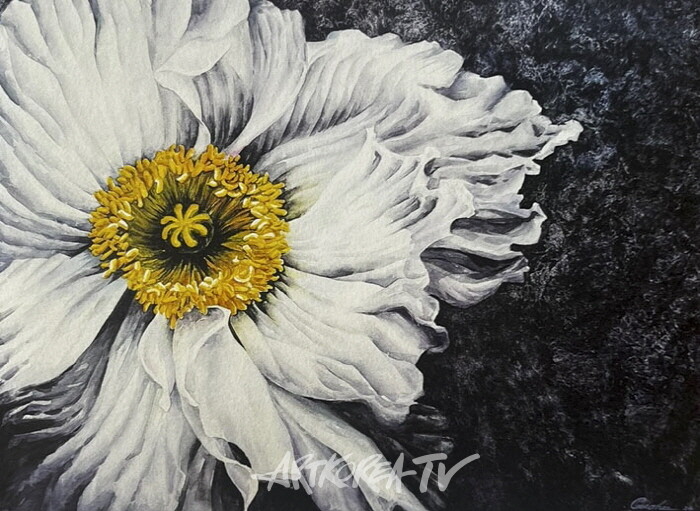 이상희 작가 개인전 '양귀비꽃처럼 강렬하게 피어난 꿈'