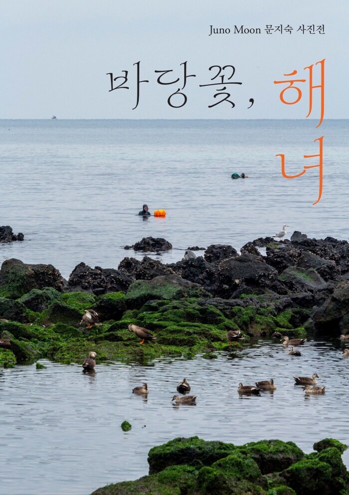 바당꽃, 해녀 / JUNO MOON(문지숙) 작가 전시 소식