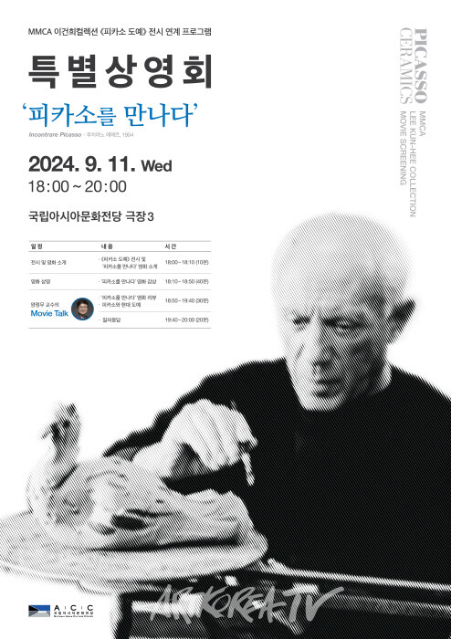 영상으로 만나는 피카소