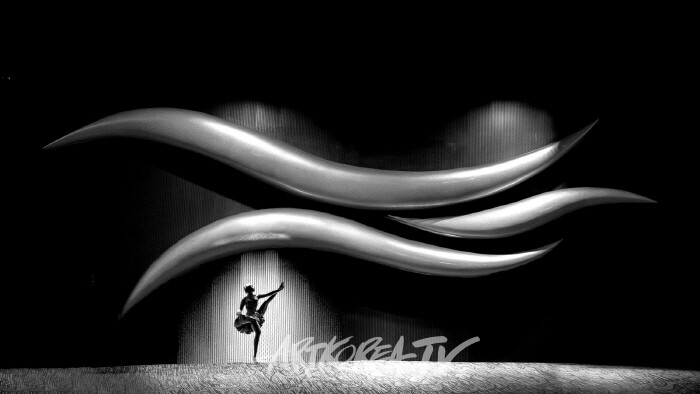 임진각 촬영회 코리안드림1000만 캠페인 부대행사