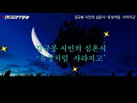 [김규봉 시인의 심혼시] '유성처럼  사라지고'