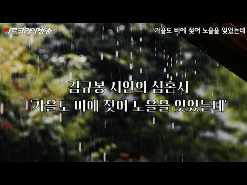 [김규봉 시인의 심혼시] 가을도 비에 젖어 노을을 잊었는데