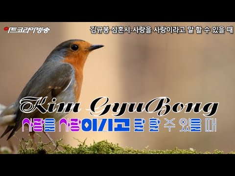 김규봉 시인의 심혼시-사랑을 사랑이라고 말 할 수 있을 때