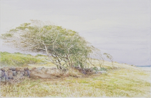 권훈칠의 자연, 그 빛의 결 展