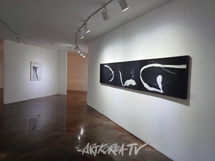 [최연하 미술평론] 고통과 대면하는 사진의 자리, 채미경의 '나비'