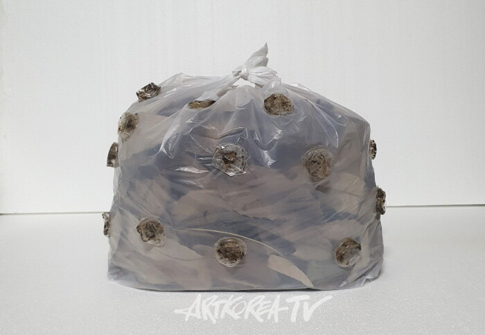 유벅 초대전 ‘Green grass of home’