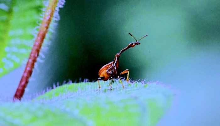 생태사진작가 조유성 구순전  '40년의 기록, 자연과 생명의 순간을 담다'