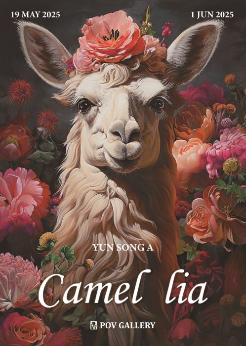 윤송아 개인전 'Camel lia'-낙타와 동백, 삶의 무게에 피어난 희망의 꽃