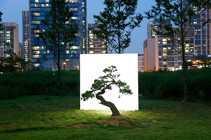 [김종근 미술평론] 카메라로 그림을 그리는 별종 화가 이명호