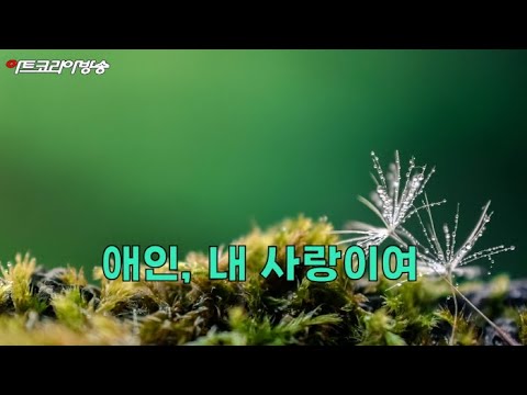 AI VERSION 노래-MERCAE 진 '내 영혼의 등대'