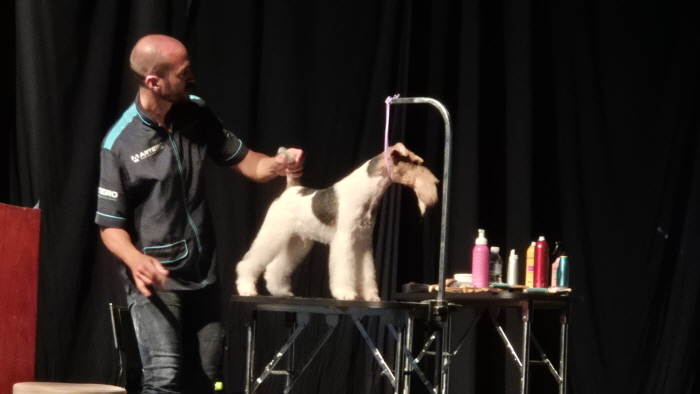 한국애견연맹, ‘2025 국제 애견미용 세미나’ 성황리에 개최