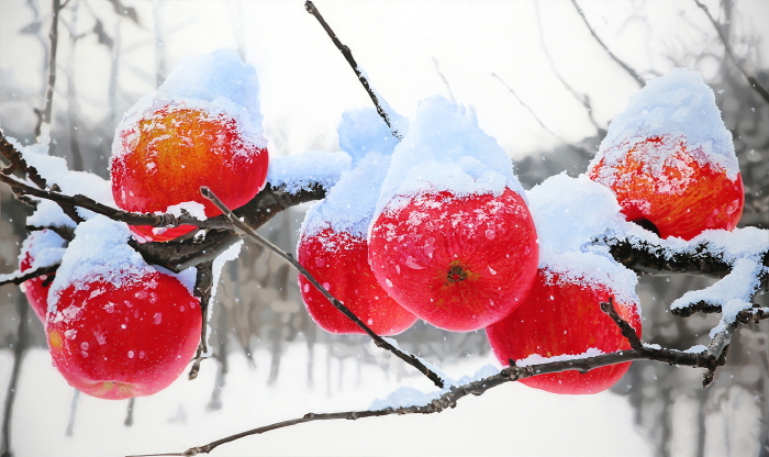 실재를 넘어선 상상의 유희, 최정혁 초대전 ‘상상유희 想像遊戱’