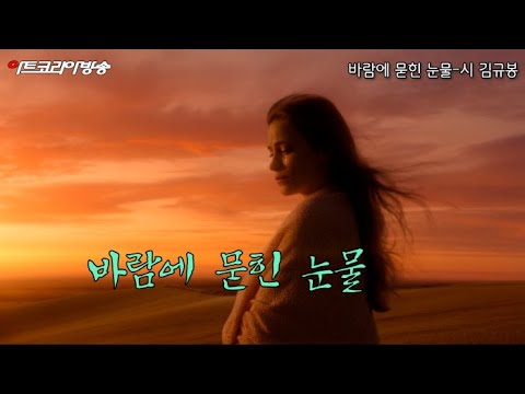 바람에 묻힌 눈물-시 김규봉-노래 MERICA 진-AI VERSION-편집 김한정