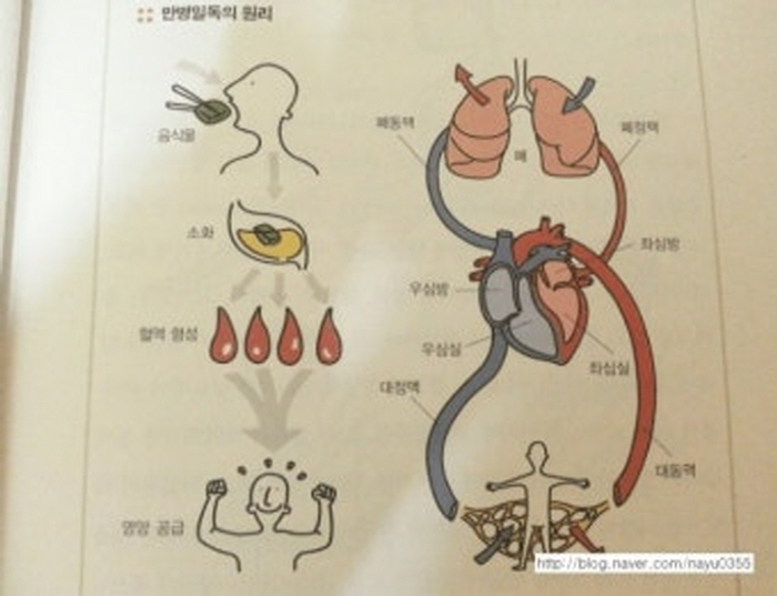 [박동 저널리스트] K-의식주 치유를 꿈꾼다