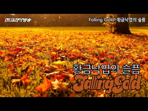 'Falling Gold-황금낙엽의 슬픔'-시 김규봉-AI VERSION-편집 김한정