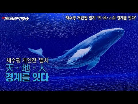 채수평, 멸치로 우주를 말하다-‘멸치, 天·地·人의 경계를 잇다’